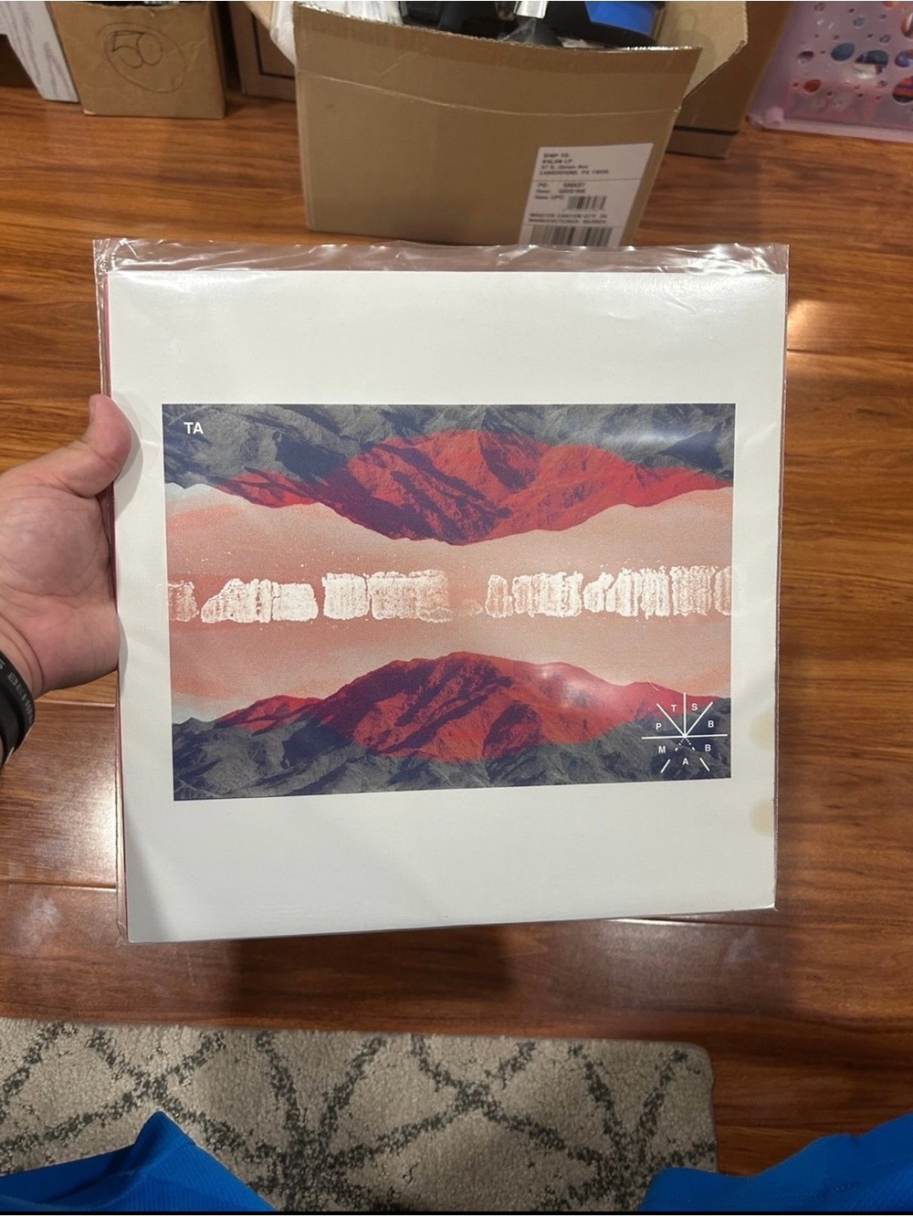 Touché Amoré Parting The Sea Between Brightness and Me Vinyl Record